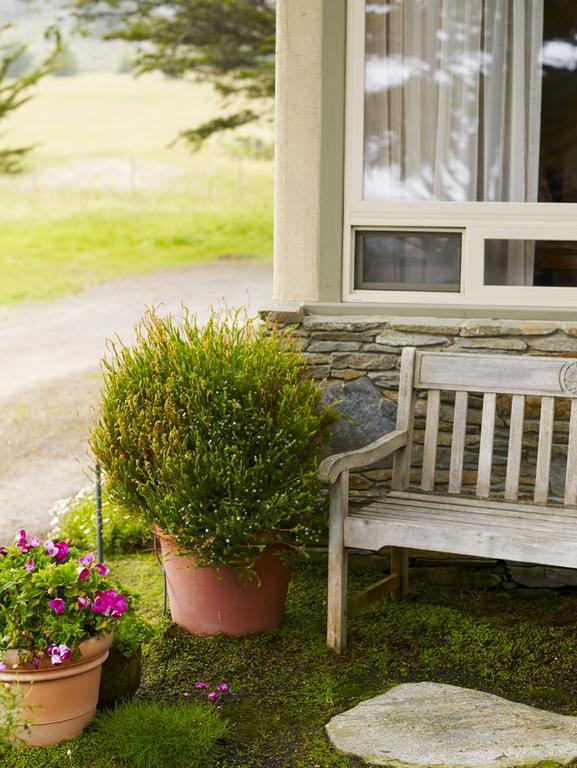 Moonstone Cottages Cambria Exteriör bild