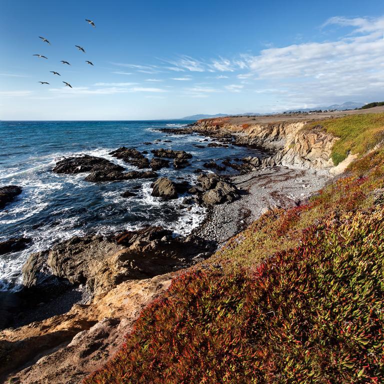 Moonstone Cottages Cambria Exteriör bild